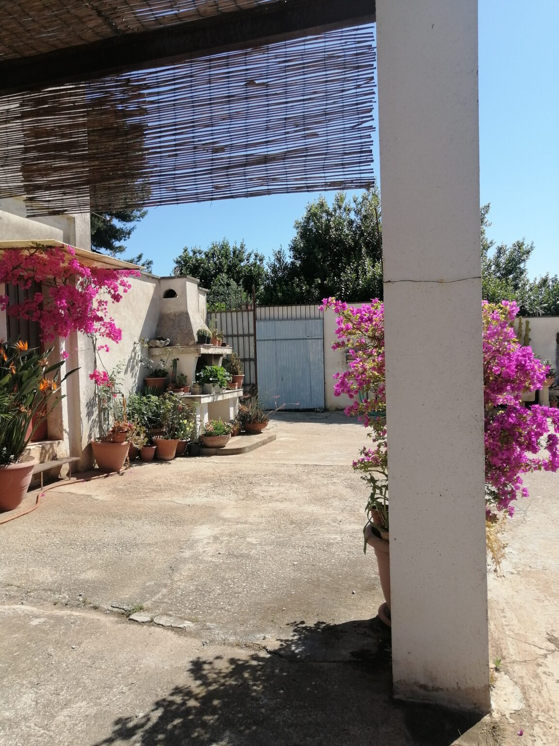 B&B Villa Sitrìe