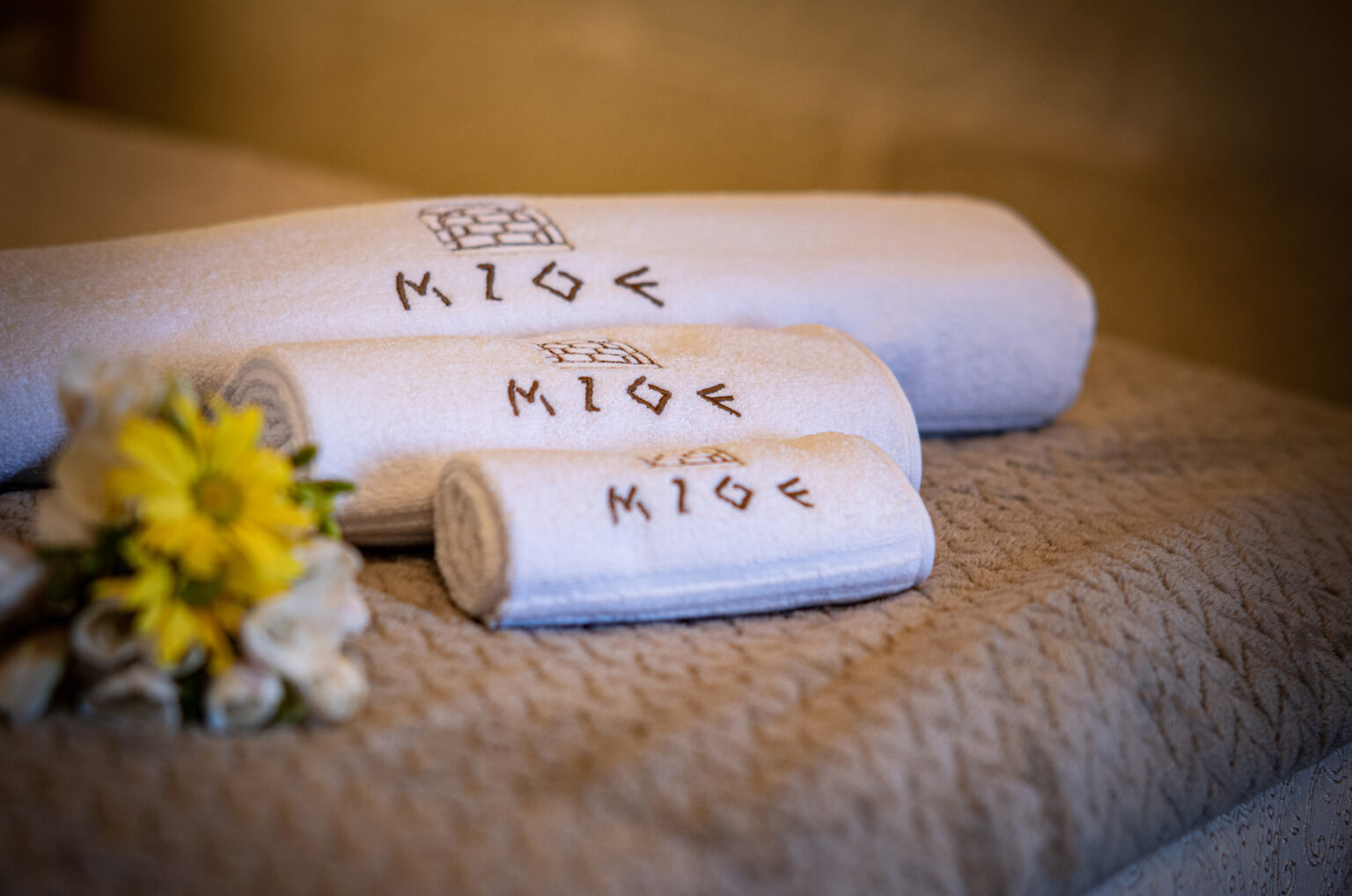 Affitta camere MIOE